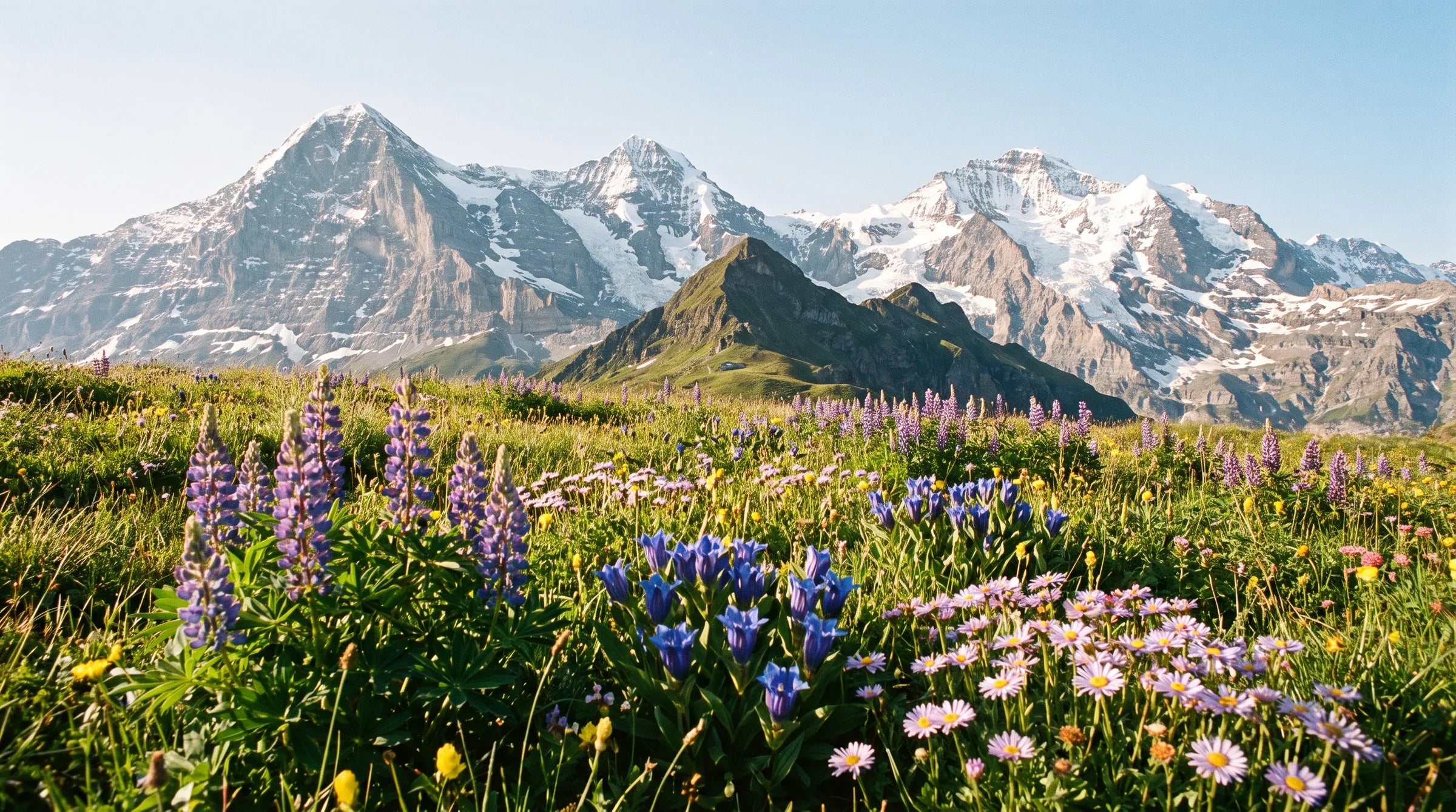 Swiss landscape