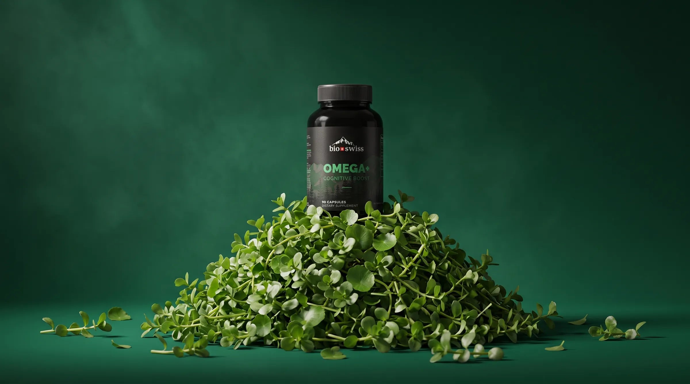 Brain & Cognitive Boost on a mound of bacopa